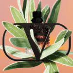A luxurious perfume bottle framed by vibrant green leaves, set against a soft gradient background. The bottle features a geometric design and is labeled "Valentino."